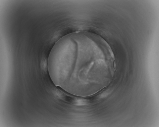 X0000114020336200910021422