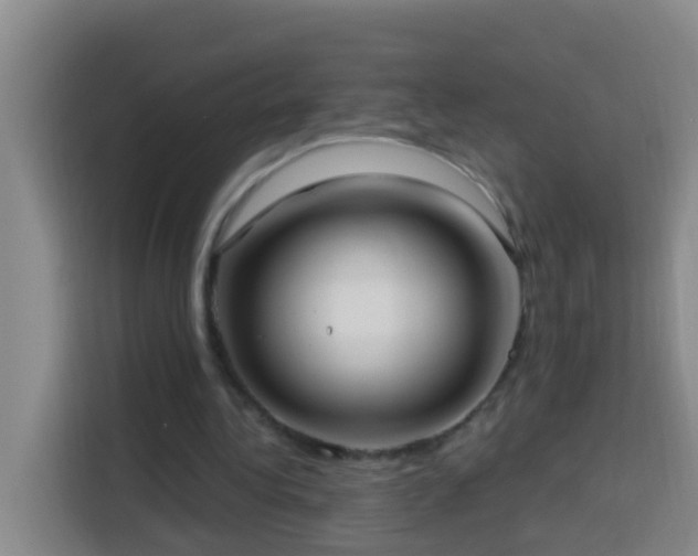 X0000114020340200910021422