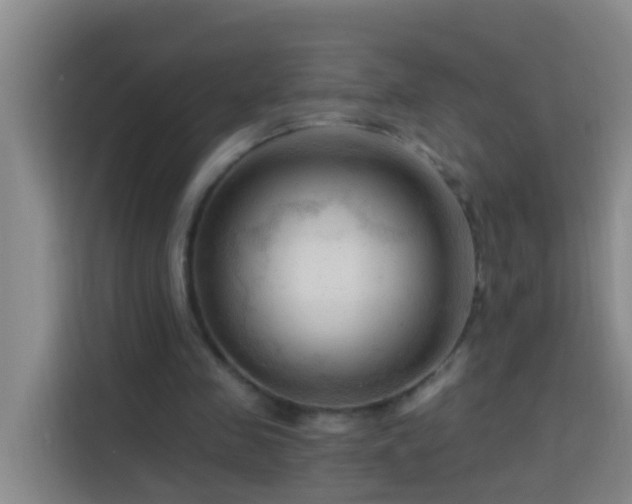 X0000114020341200910021422