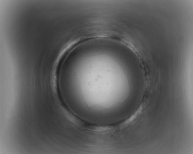 X0000114020342200910021422