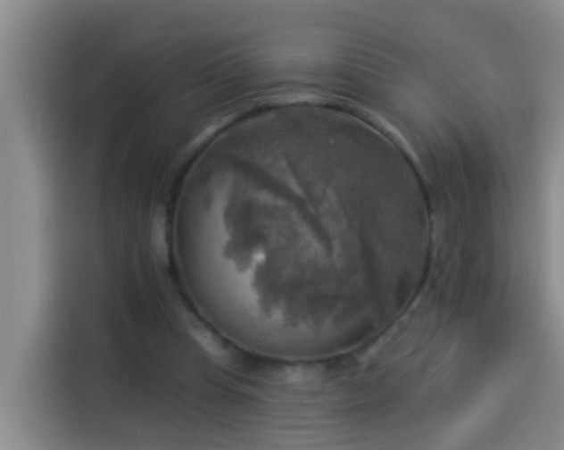 X0000114020345200910021422