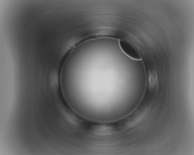 X0000114020348200910021422