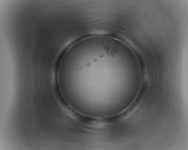X0000114020351200910021422