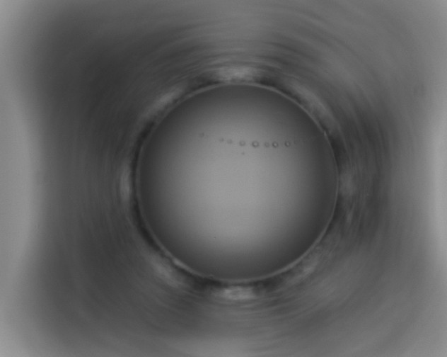 X0000114020353200910021422