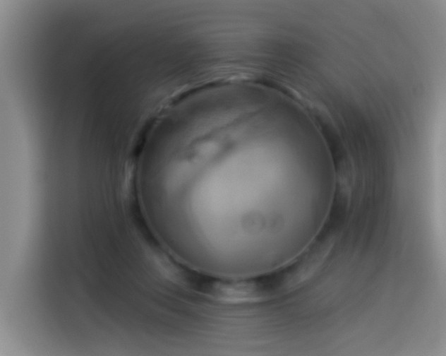 X0000114020359200910021422