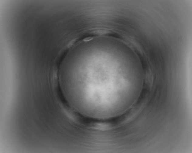 X0000114020360200910021422