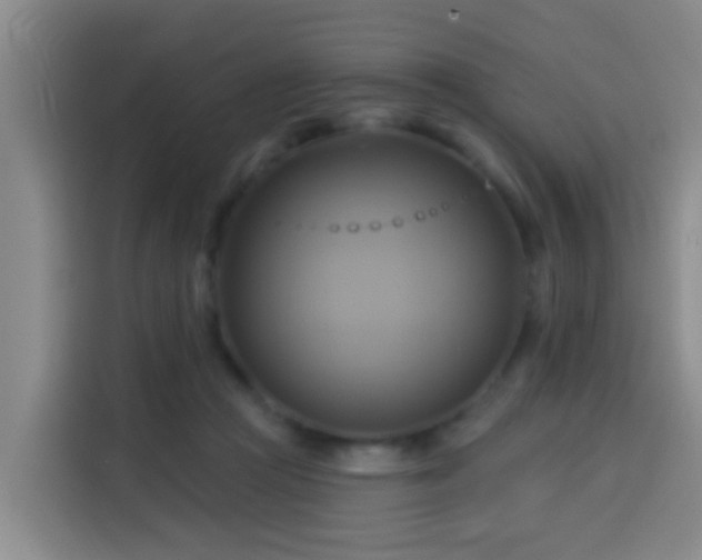 X0000114020361200910021422