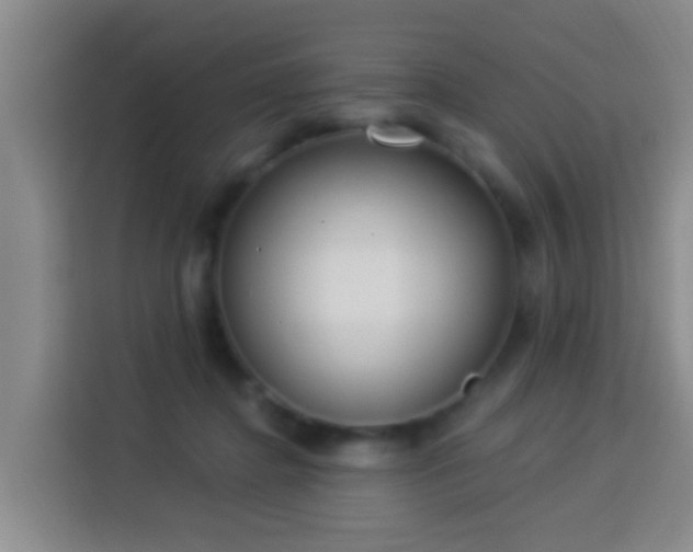X0000114020364200910021422