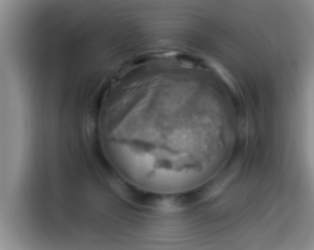 X0000114020365200910021422