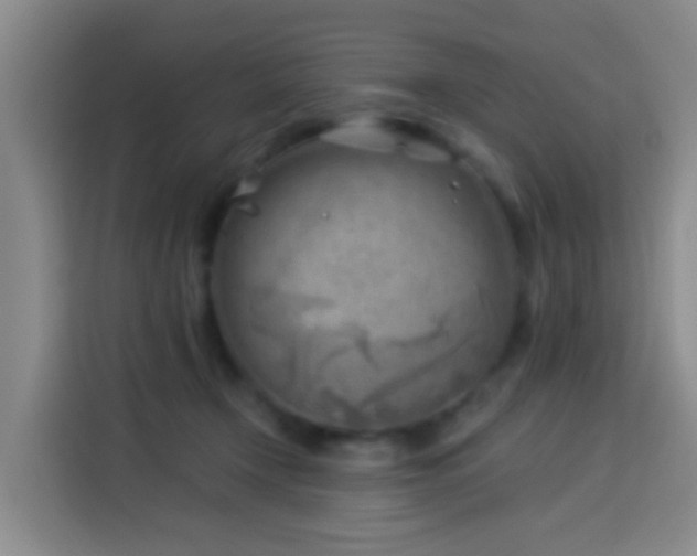 X0000114020366200910021422