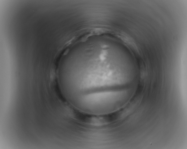 X0000114020367200910021422