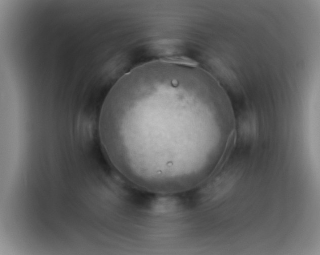 X0000114020376200910021422