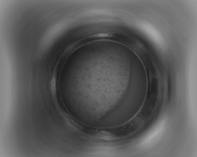 X0000114020387200910021422