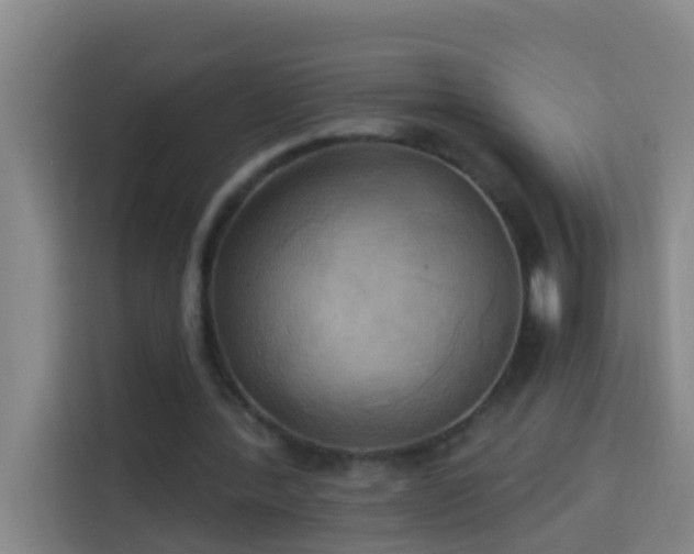 X0000114020388200910021422