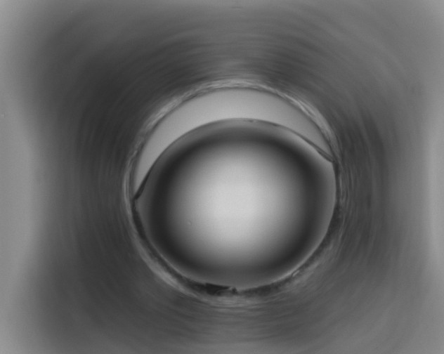 X0000114020389200910021422