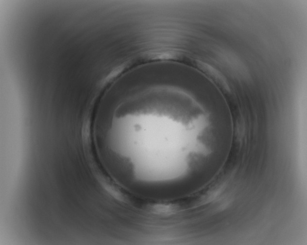 X0000114020394200910021421