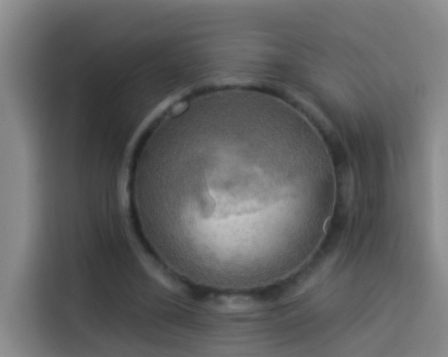 X0000114020395200910021421