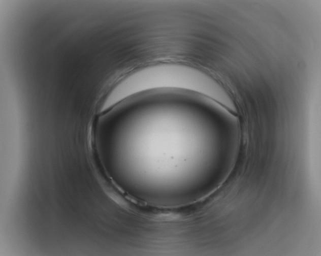 X0000114020397200910021421