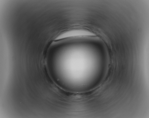 X0000114020419200910021421