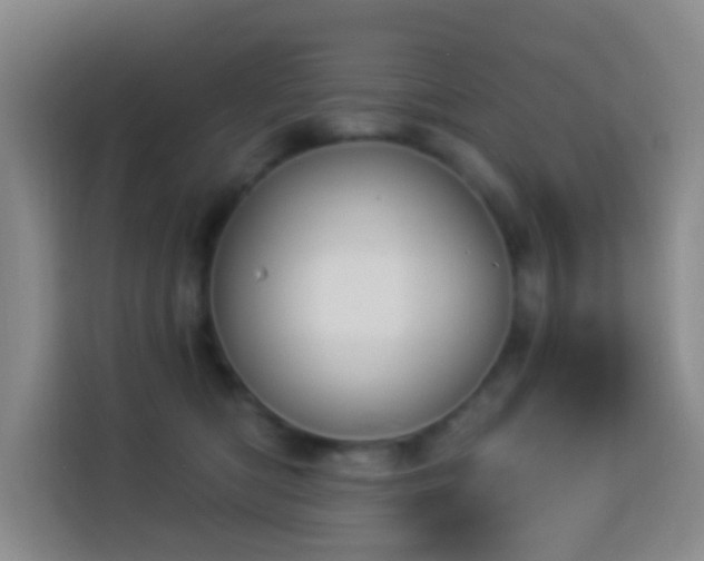 X0000114020422200910021421