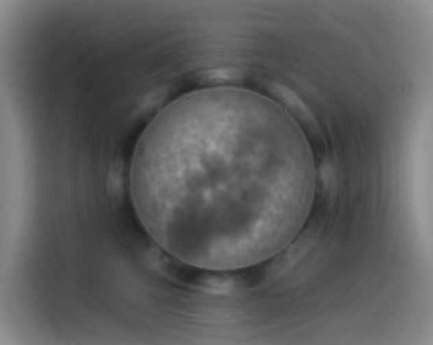 X0000114020423200910021421