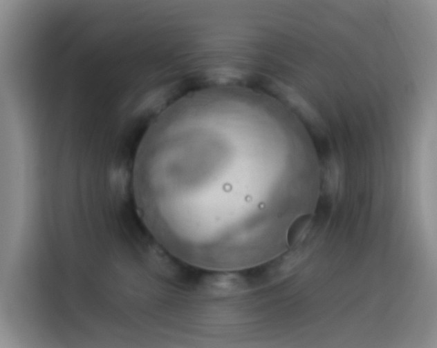 X0000114020427200910021421