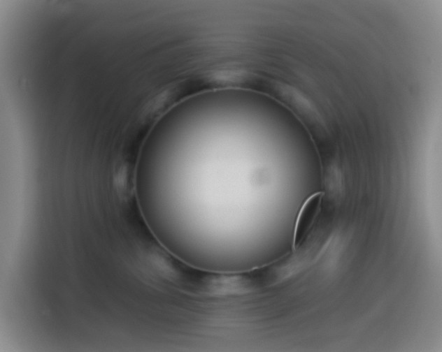 X0000114020428200910021421