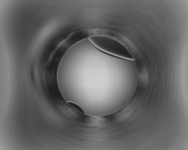X0000114020429200910021421