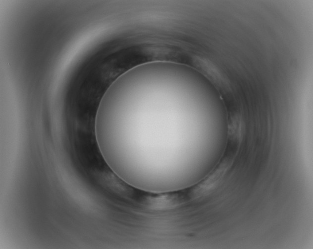 X0000114020430200910021421