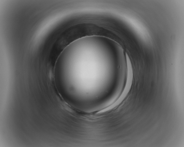 X0000114020431200910021421