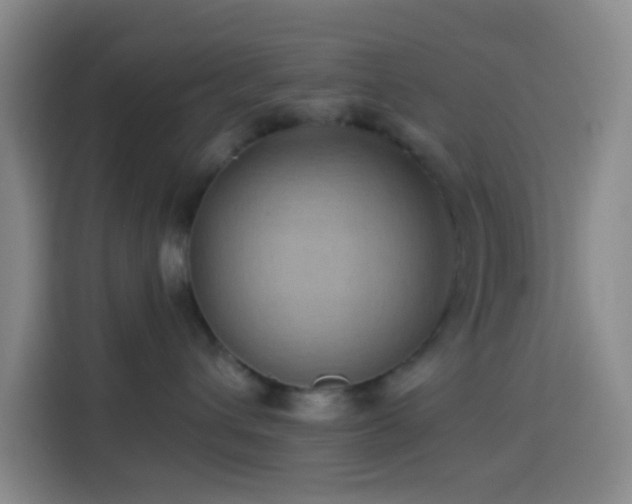 X0000114020432200910021421