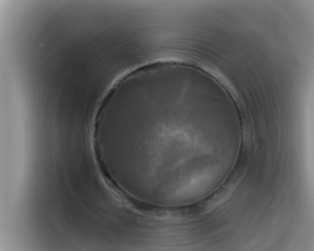 X0000114020434200910021420
