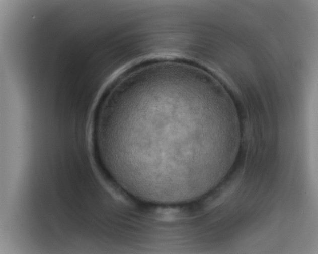 X0000114020440200910021420