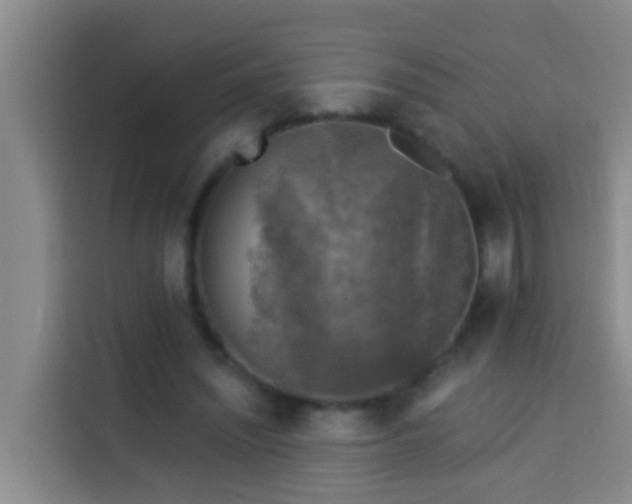 X0000114020444200910021420
