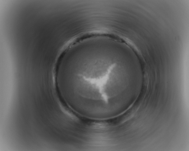 X0000114020446200910021421