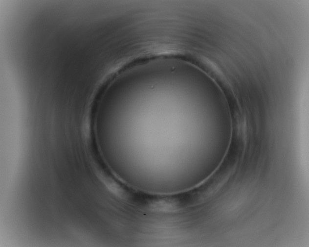 X0000114020447200910021421