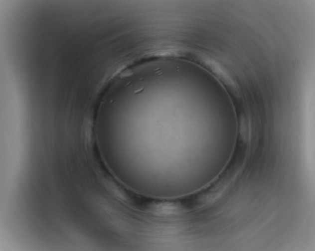 X0000114020449200910021421