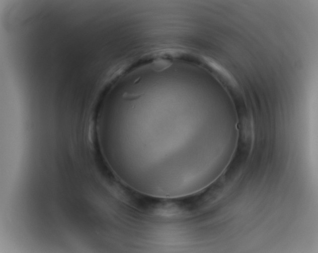 X0000114020451200910021421