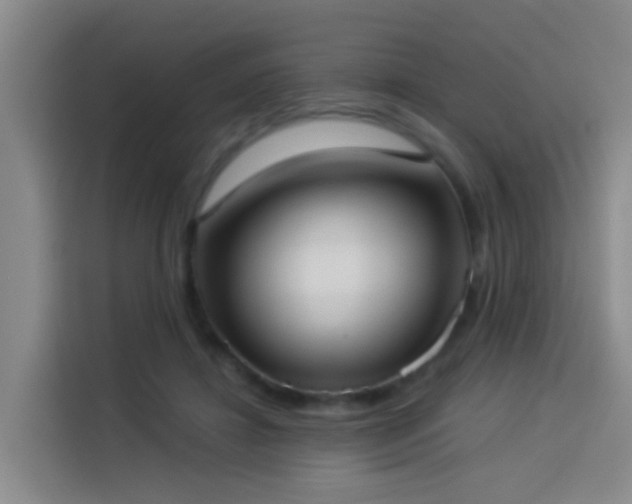 X0000114020452200910021421