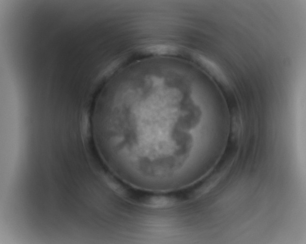 X0000114020453200910021421