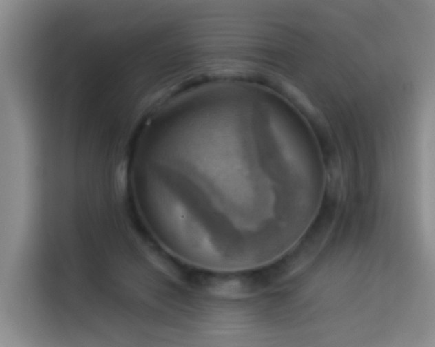 X0000114020454200910021421