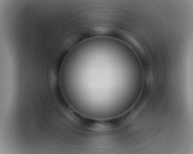 X0000114020455200910021421