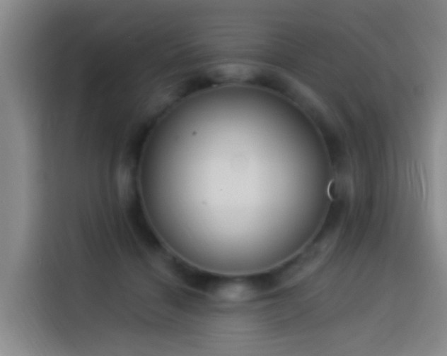 X0000114020460200910021421