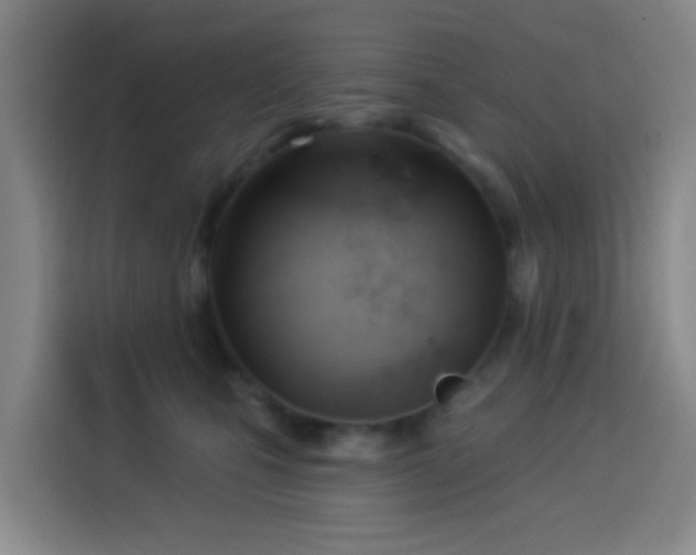 X0000114020471200910021421