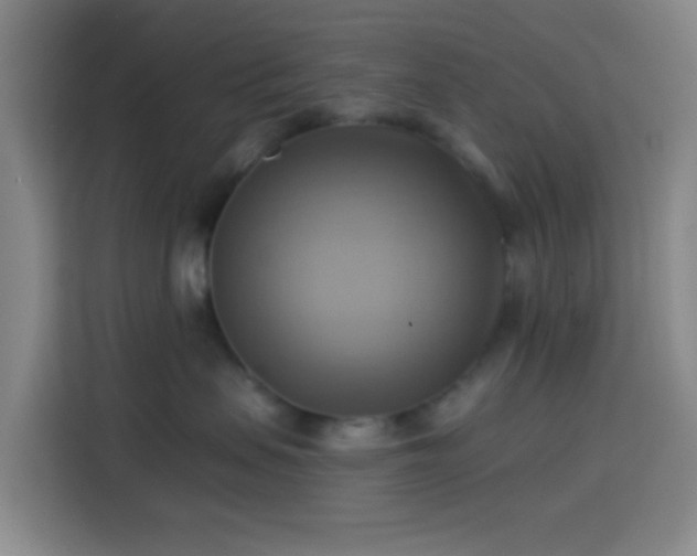 X0000114020479200910021421