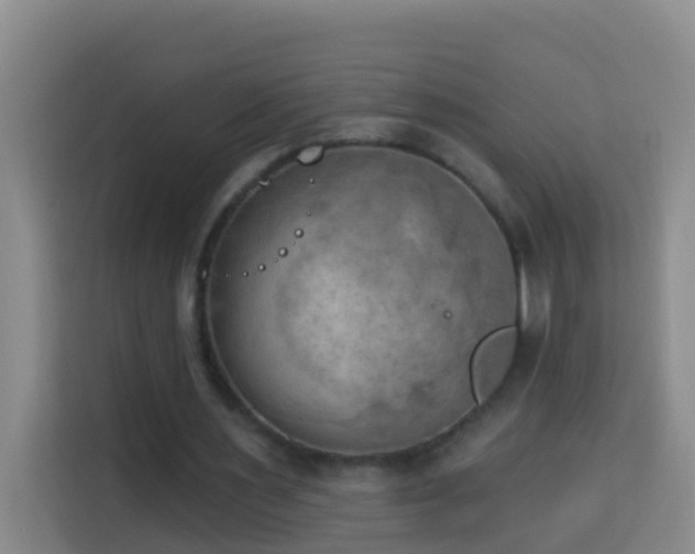 X0000114020483200910021420