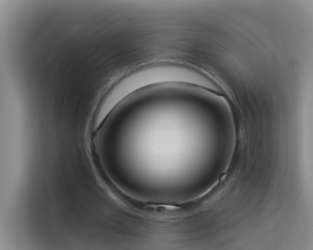 X0000114020485200910021420