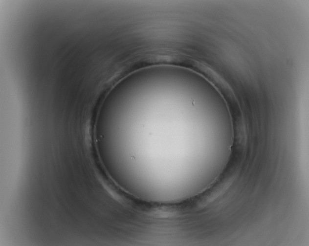X0000114020489200910021420