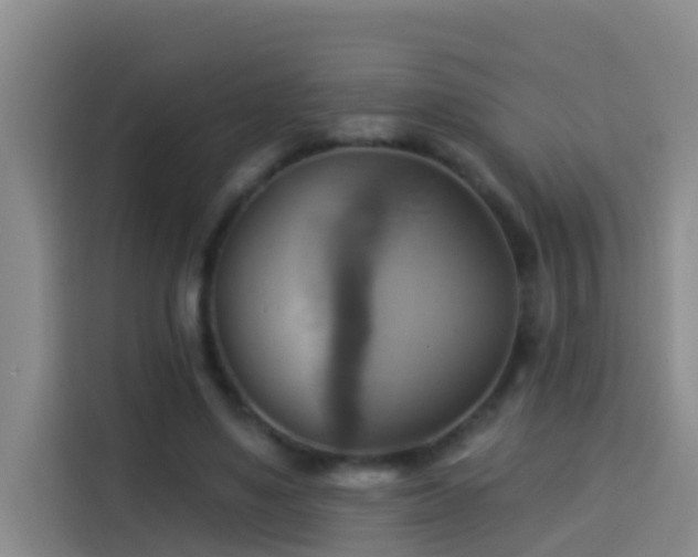 X0000114020491200910021420