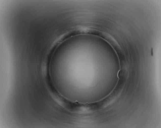 X0000114020496200910021420